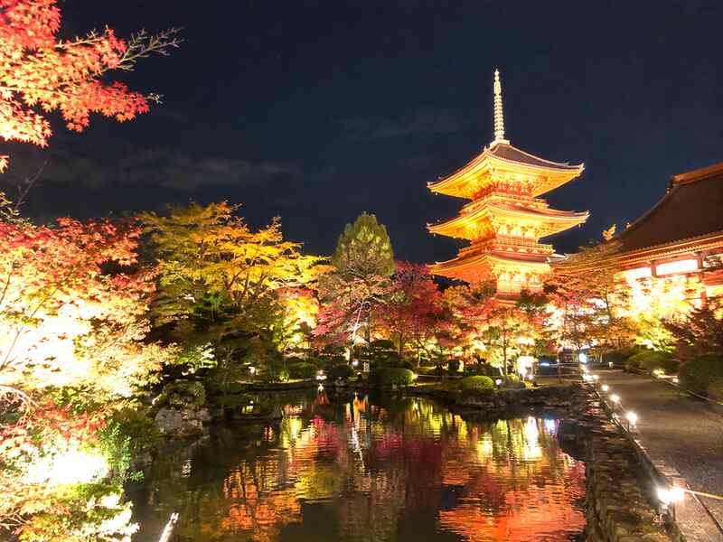 Illuminated Autumn Pagoda Reflections