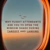 Open Window Shades During Takeoff and Landing