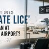 What Does Gate Lice Mean