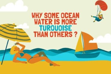 Why Some Ocean Water Is More Turquoise