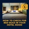 Hotel Bed Bugs