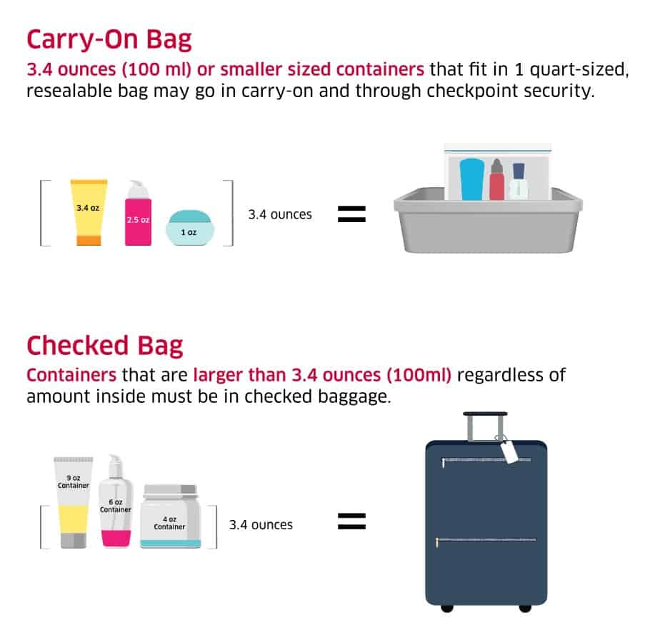 What Items are Allowed in My TSA Approved Quart Size Bag? 2023 Update –  EzPacking